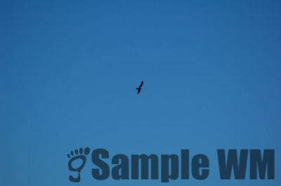 DSC_0166.JPG