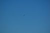 DSC_0164.JPG