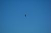 DSC_0166.JPG