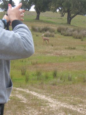 acampamento_mafa_2007_011.jpg