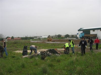 limpar_011.jpg