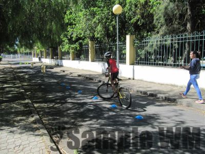 _lg_img_7642.jpg