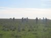 safari2007_088.jpg